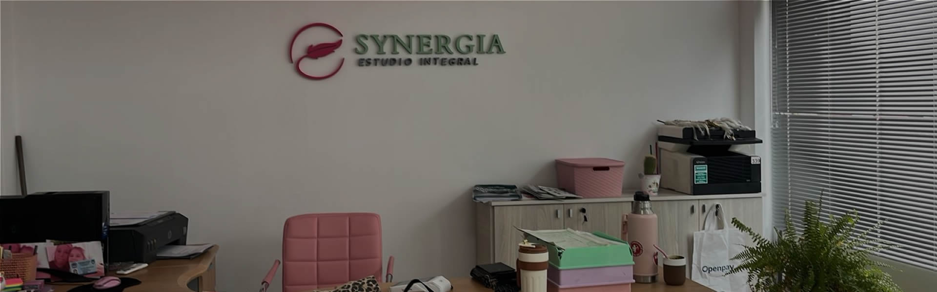 Conocé más sobre Synergia Estudio.
