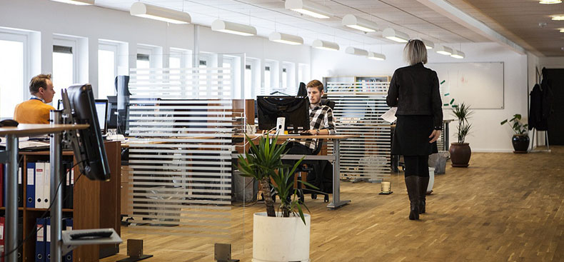 Señales de una empresa saludable: cultura, organización y derechos